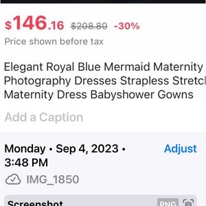 Maternity Shoot Dress